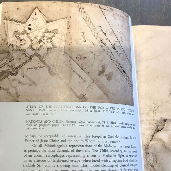 The complete Works of Michelangelo Vatican, edition - Picture 12 of 12